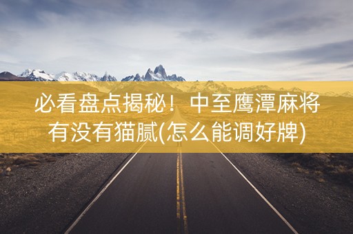必看盘点揭秘！中至鹰潭麻将有没有猫腻(怎么能调好牌)
