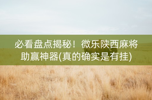 必看盘点揭秘！微乐陕西麻将助赢神器(真的确实是有挂)