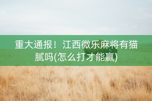 重大通报！江西微乐麻将有猫腻吗(怎么打才能赢)