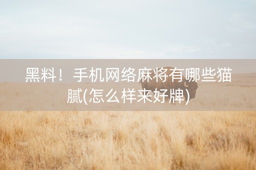 黑料！手机网络麻将有哪些猫腻(怎么样来好牌)