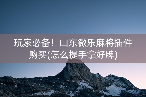 玩家必备！山东微乐麻将插件购买(怎么提手拿好牌)