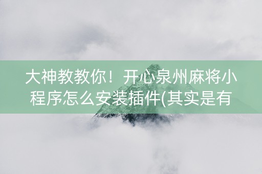 大神教教你！开心泉州麻将小程序怎么安装插件(其实是有挂的)