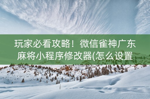 玩家必看攻略！微信雀神广东麻将小程序修改器(怎么设置能有好牌)