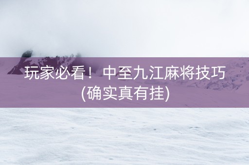 玩家必看！中至九江麻将技巧(确实真有挂)