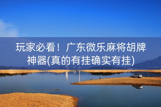 玩家必看！广东微乐麻将胡牌神器(真的有挂确实有挂)