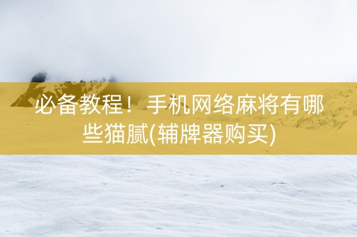 必备教程！手机网络麻将有哪些猫腻(辅牌器购买)