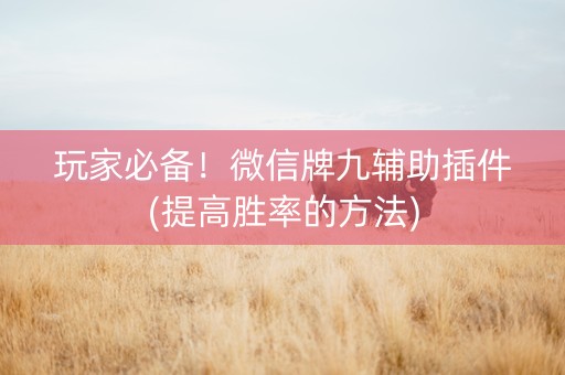 玩家必备！微信牌九辅助插件(提高胜率的方法)