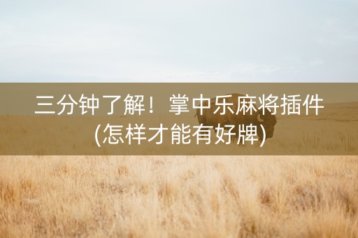三分钟了解！掌中乐麻将插件(怎样才能有好牌)