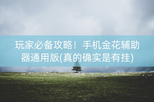 玩家必备攻略！手机金花辅助器通用版(真的确实是有挂)