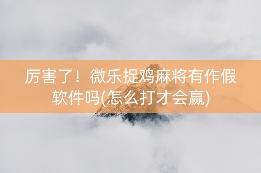厉害了！微乐捉鸡麻将有作假软件吗(怎么打才会赢)