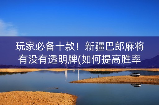 玩家必备十款！新疆巴郎麻将有没有透明牌(如何提高胜率)
