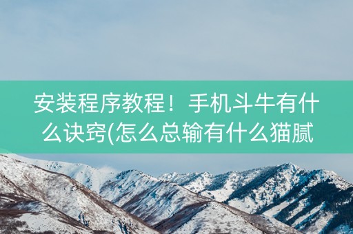 安装程序教程！手机斗牛有什么诀窍(怎么总输有什么猫腻)