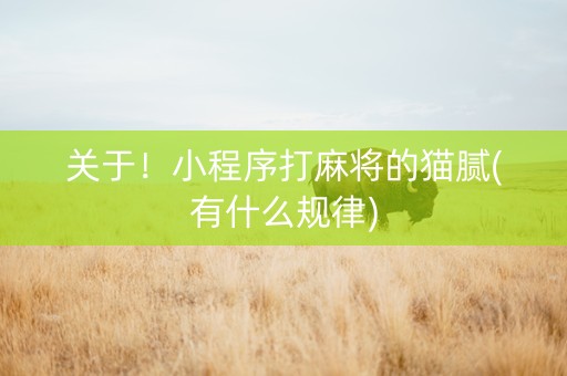关于！小程序打麻将的猫腻(有什么规律)
