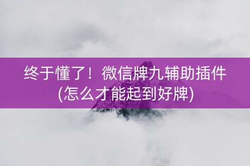 终于懂了！微信牌九辅助插件(怎么才能起到好牌)