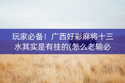 玩家必备！广西好彩麻将十三水其实是有挂的(怎么老输必备神器)