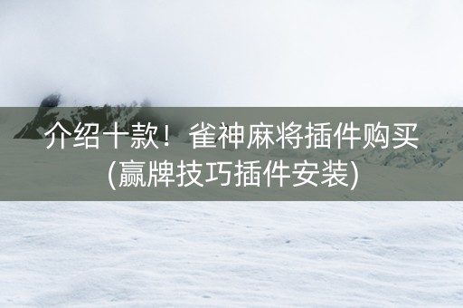 介绍十款！雀神麻将插件购买(赢牌技巧插件安装)