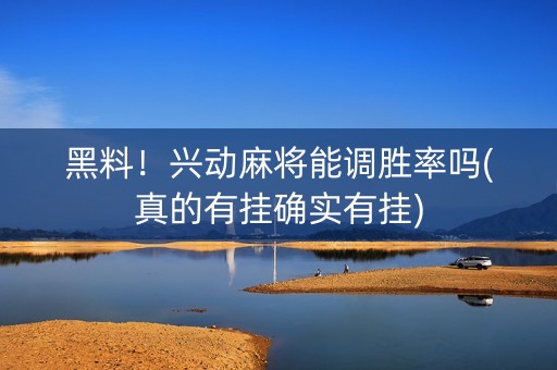 黑料！兴动麻将能调胜率吗(真的有挂确实有挂)