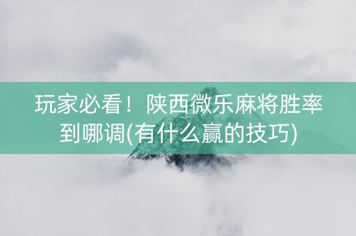 玩家必看！陕西微乐麻将胜率到哪调(有什么赢的技巧)