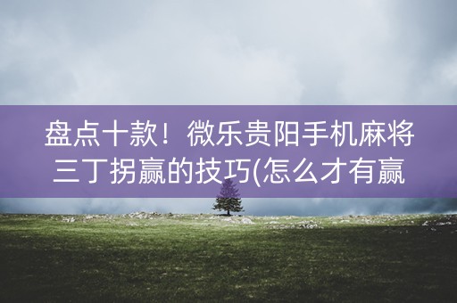 盘点十款！微乐贵阳手机麻将三丁拐赢的技巧(怎么才有赢的几率)