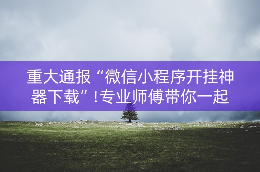 重大通报“微信小程序开挂神器下载”!专业师傅带你一起了解（详细教程）-抖音