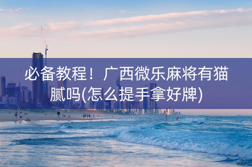 必备教程！广西微乐麻将有猫腻吗(怎么提手拿好牌)