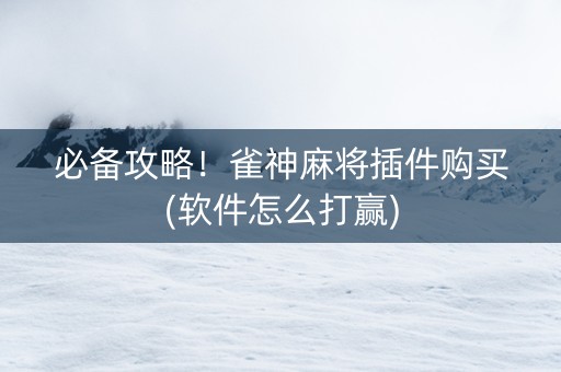 必备攻略！雀神麻将插件购买(软件怎么打赢)