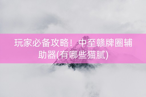 玩家必备攻略！中至赣牌圈辅助器(有哪些猫腻)