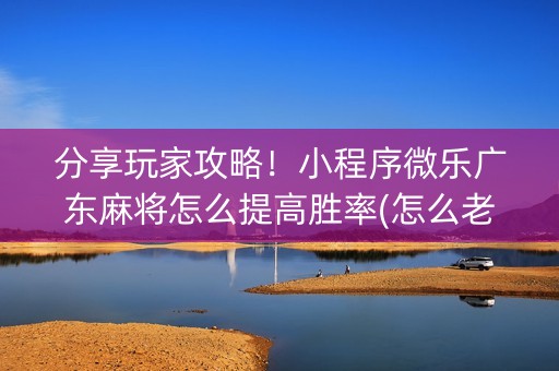 分享玩家攻略！小程序微乐广东麻将怎么提高胜率(怎么老输必备神器)