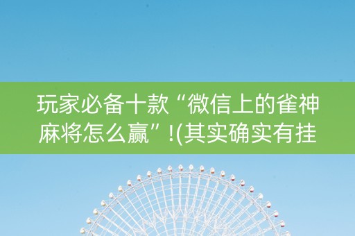 玩家必备十款“微信上的雀神麻将怎么赢”!(其实确实有挂)-抖音