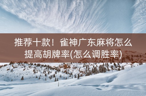 推荐十款！雀神广东麻将怎么提高胡牌率(怎么调胜率)