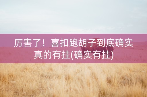 厉害了！喜扣跑胡子到底确实真的有挂(确实有挂)