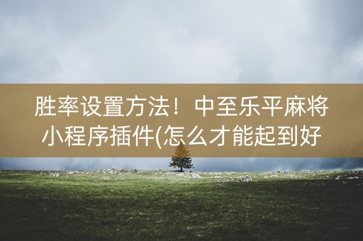 胜率设置方法！中至乐平麻将小程序插件(怎么才能起到好牌)