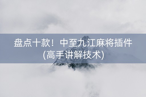盘点十款！中至九江麻将插件(高手讲解技术)