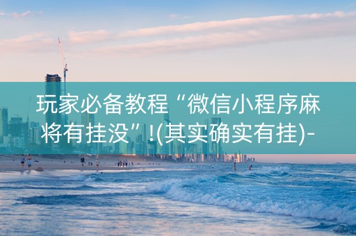 玩家必备教程“微信小程序麻将有挂没”!(其实确实有挂)-抖音