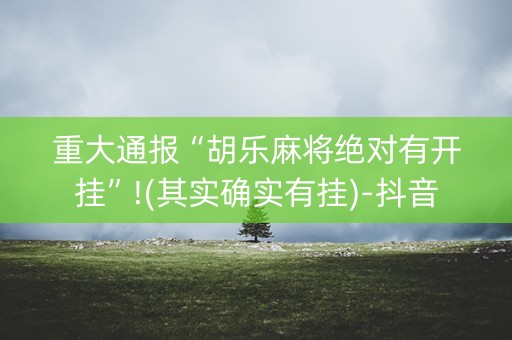 重大通报“胡乐麻将绝对有开挂”!(其实确实有挂)-抖音