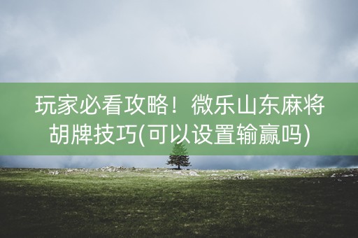 玩家必看攻略！微乐山东麻将胡牌技巧(可以设置输赢吗)