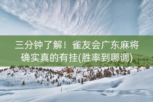 三分钟了解！雀友会广东麻将确实真的有挂(胜率到哪调)