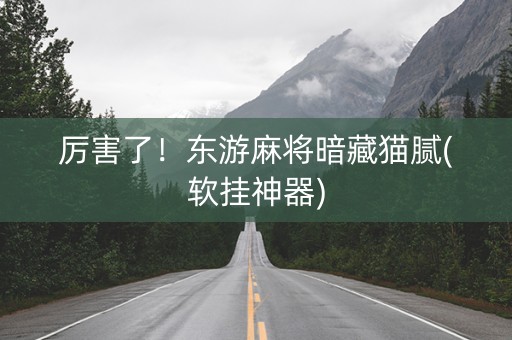 厉害了！东游麻将暗藏猫腻(软挂神器)