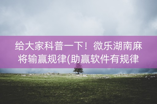 给大家科普一下！微乐湖南麻将输赢规律(助赢软件有规律吗)