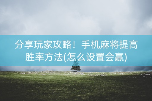 分享玩家攻略！手机麻将提高胜率方法(怎么设置会赢)