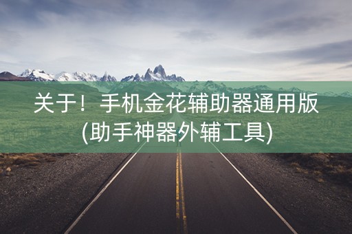 关于！手机金花辅助器通用版(助手神器外辅工具)