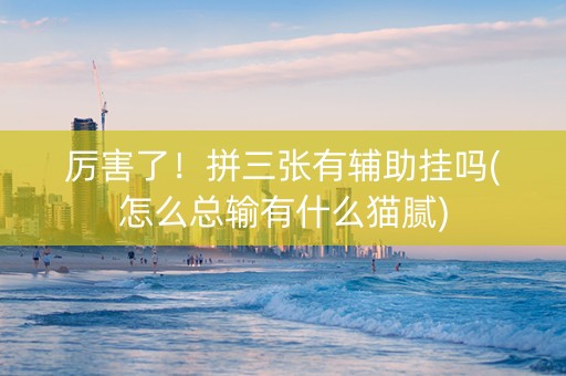 厉害了！拼三张有辅助挂吗(怎么总输有什么猫腻)