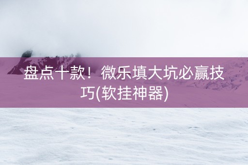盘点十款！微乐填大坑必赢技巧(软挂神器)