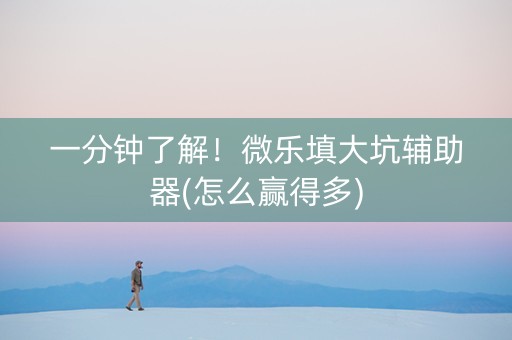 一分钟了解！微乐填大坑辅助器(怎么赢得多)