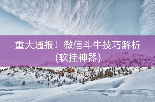 重大通报！微信斗牛技巧解析(软挂神器)