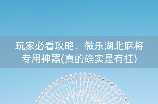 玩家必看攻略！微乐湖北麻将专用神器(真的确实是有挂)