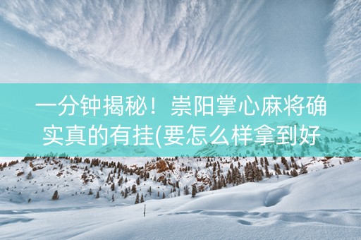 一分钟揭秘！崇阳掌心麻将确实真的有挂(要怎么样拿到好牌)