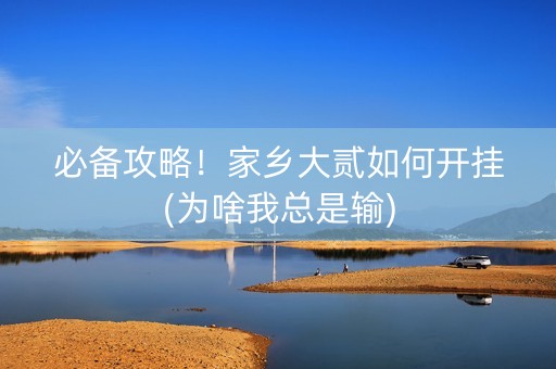 必备攻略！家乡大贰如何开挂(为啥我总是输)