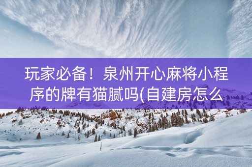 玩家必备！泉州开心麻将小程序的牌有猫腻吗(自建房怎么赢)