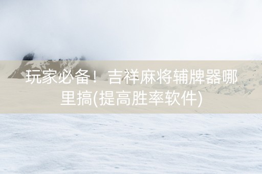 玩家必备！吉祥麻将辅牌器哪里搞(提高胜率软件)